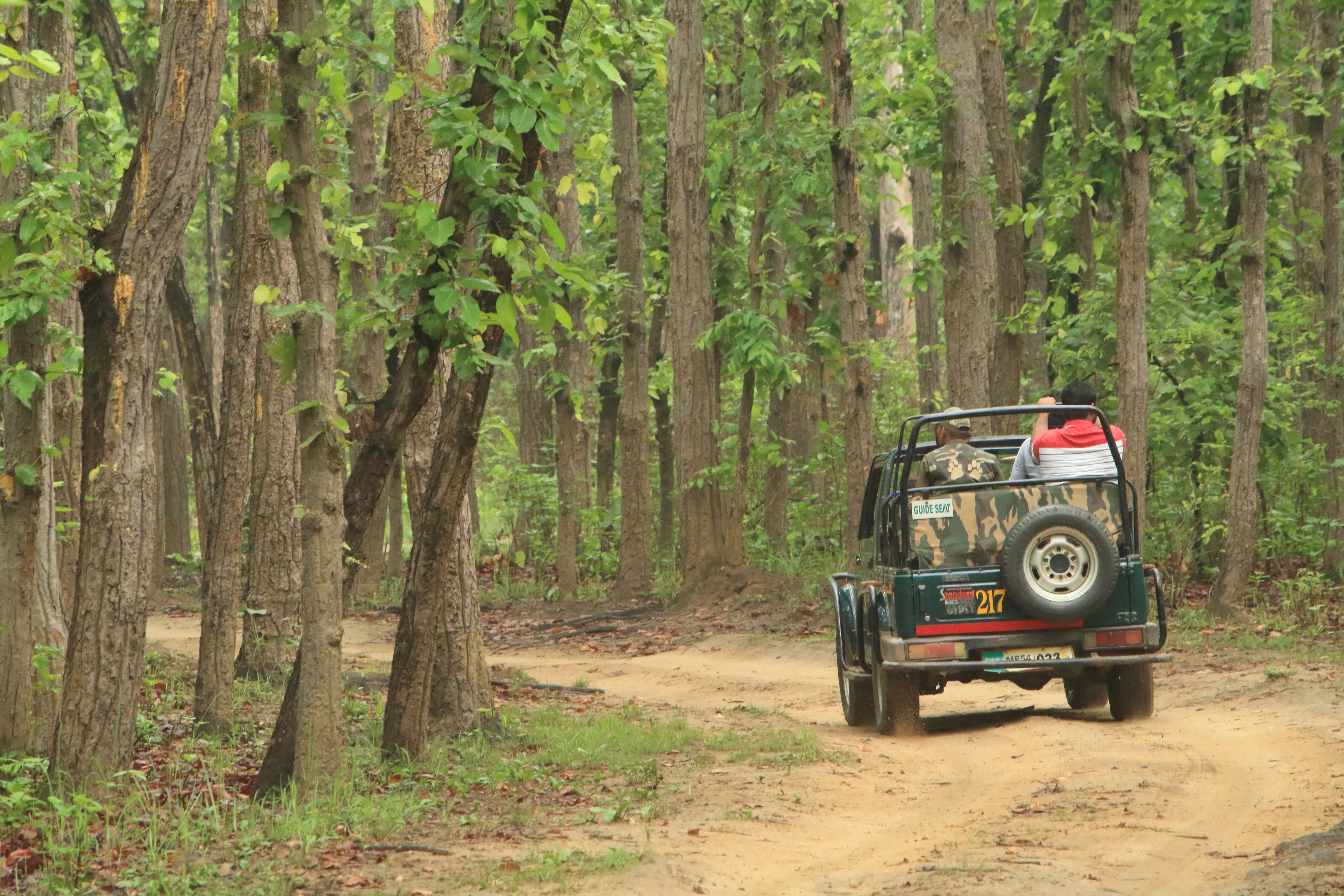 Exciting Jeep Ride Activity across Hebbe Falls