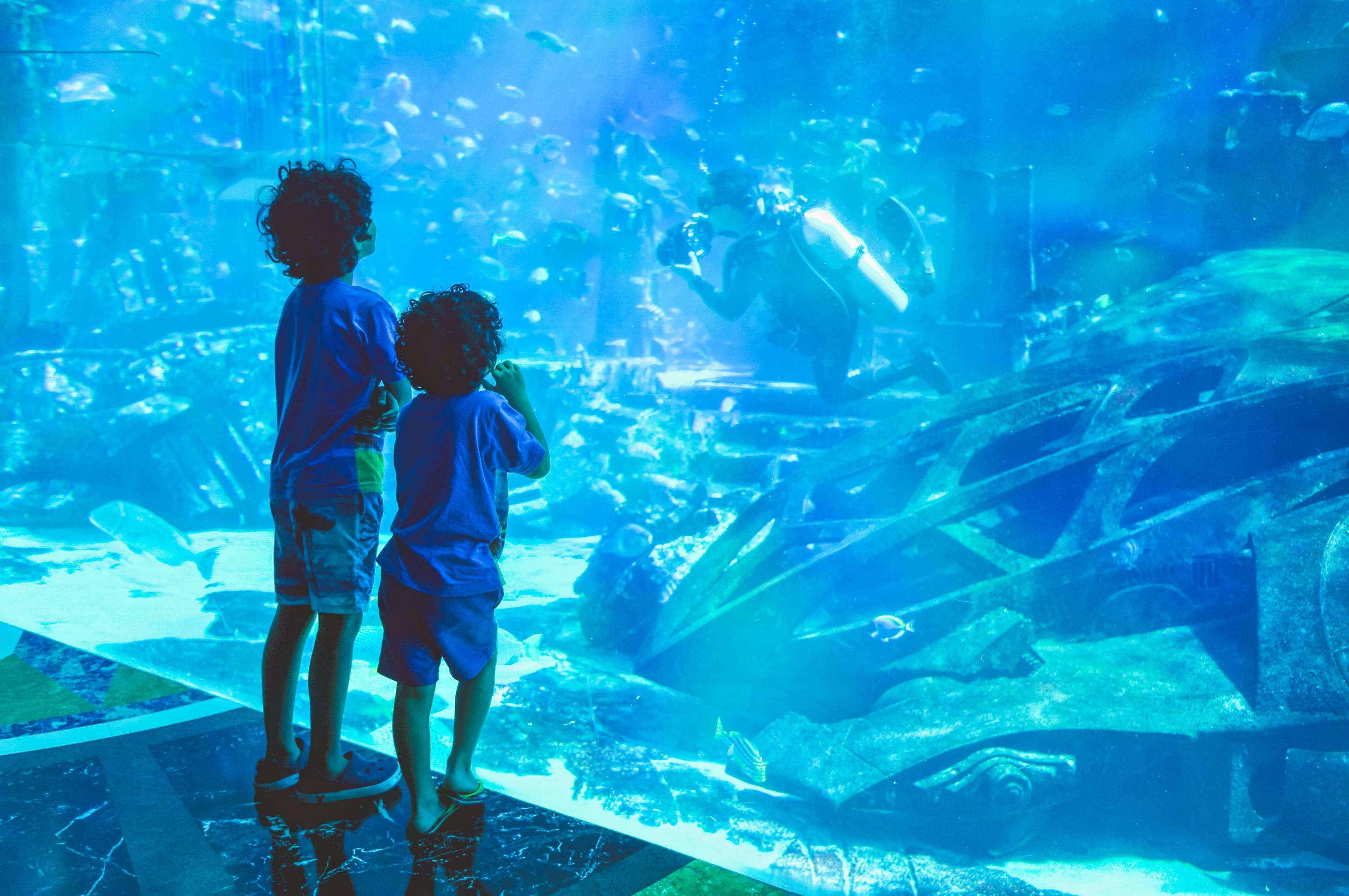  Kids can explore the wonders of the underwater world and learn about marine life
