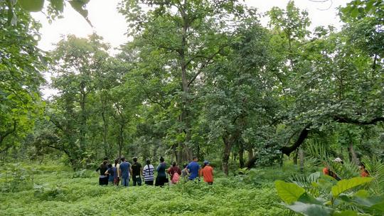 Mahadev Paani Waterfall Trek Image