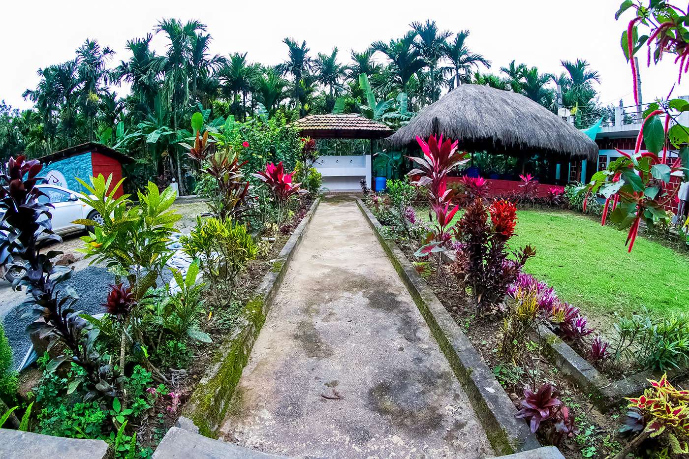 Luxury Camping in Coorg Image