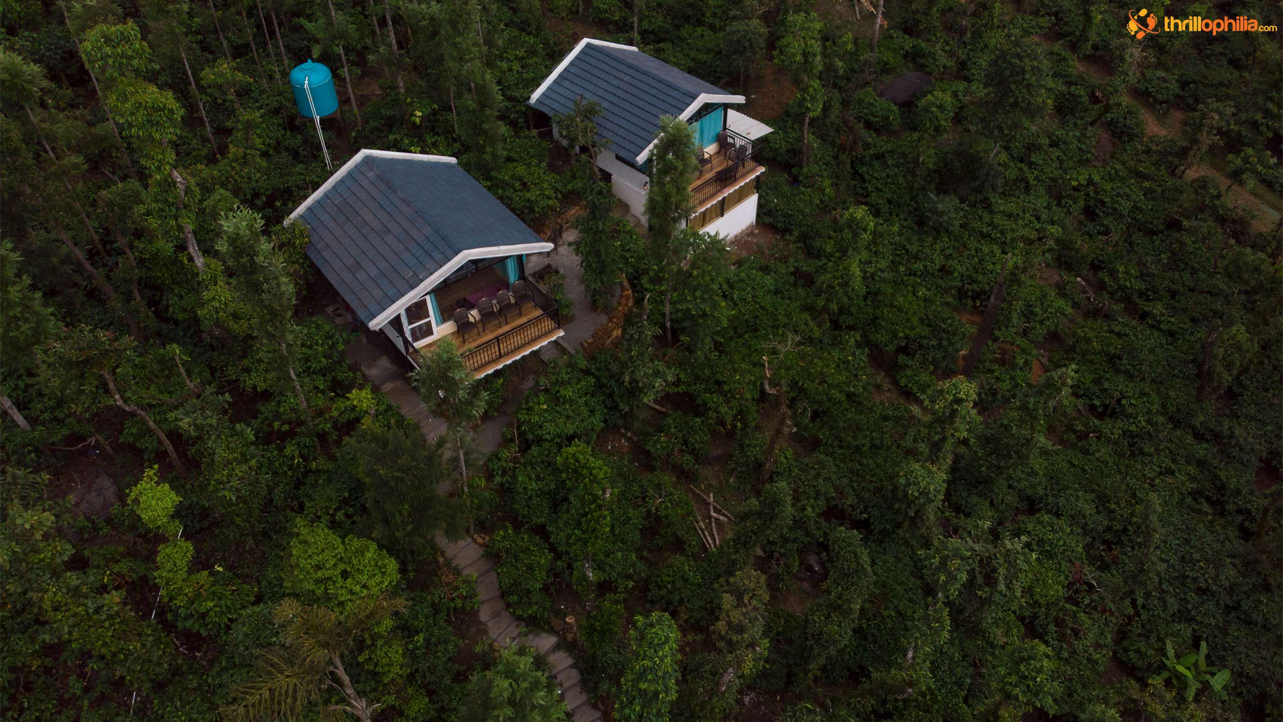 Aerial View amidst Lush Greenery