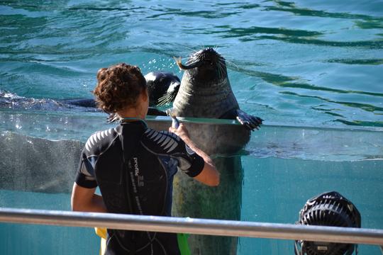 Zoo Aquarium Madrid Tickets Image