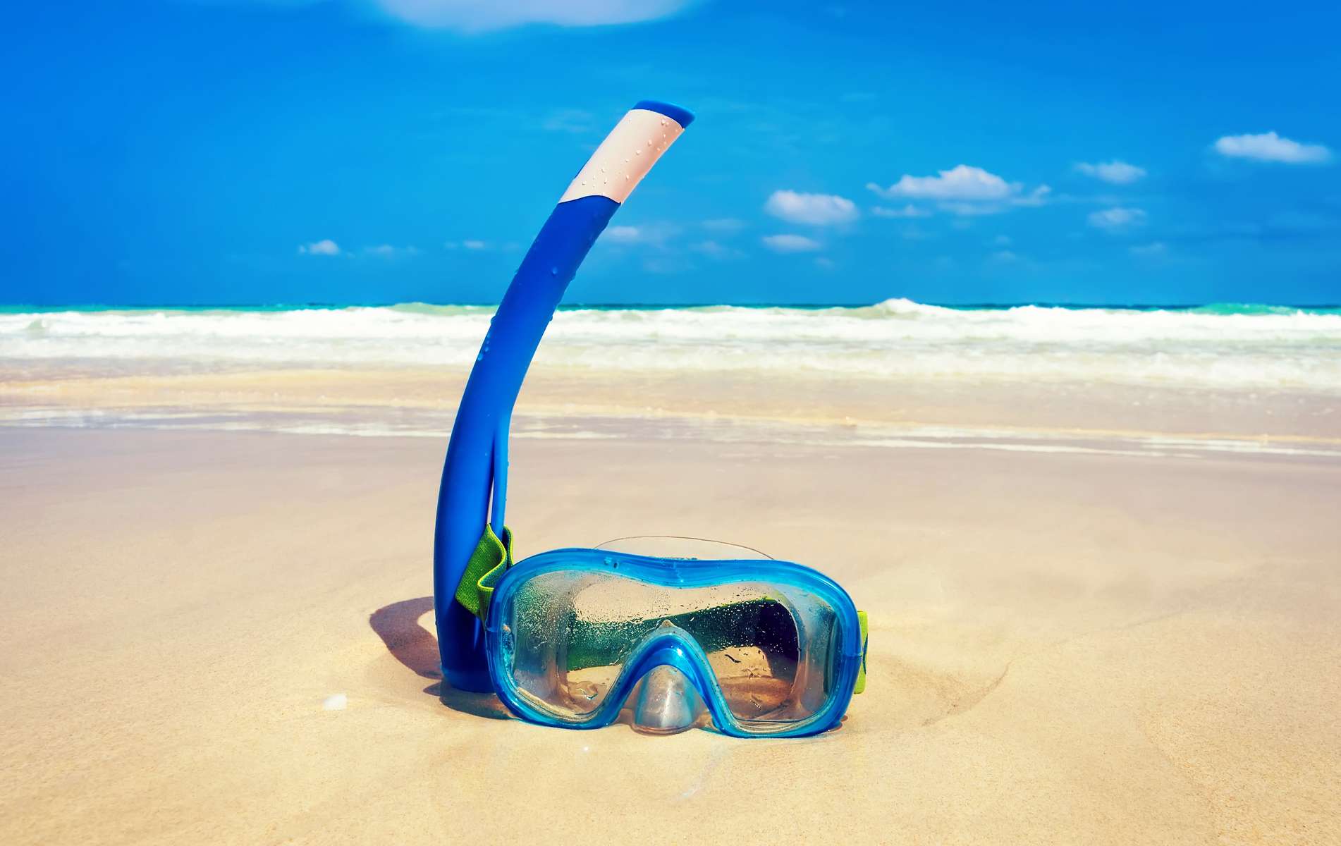 Snorkeling in Maldives  Image