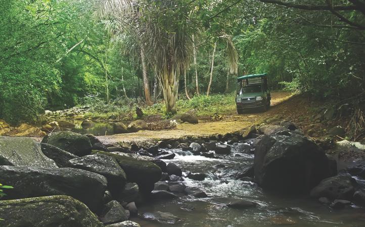 Bel Ombre Nature Reserve