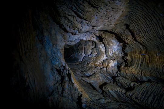 Glowworm Waitomo Caves Tour in Auckland Image