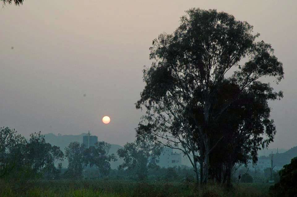 Bicycle Tour In Hong Kong
