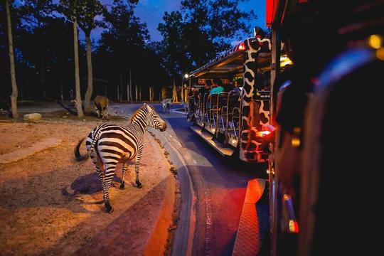 Chiang Mai Night Safari Park Tours Image