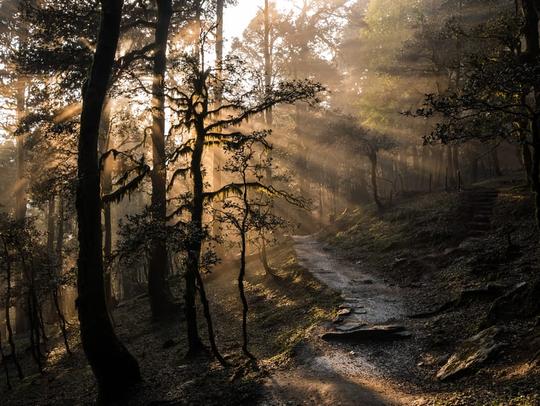 4 Days Tirthan Valley Tour Package from Delhi Image