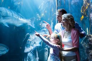 Amneville Aquarium Tickets, France