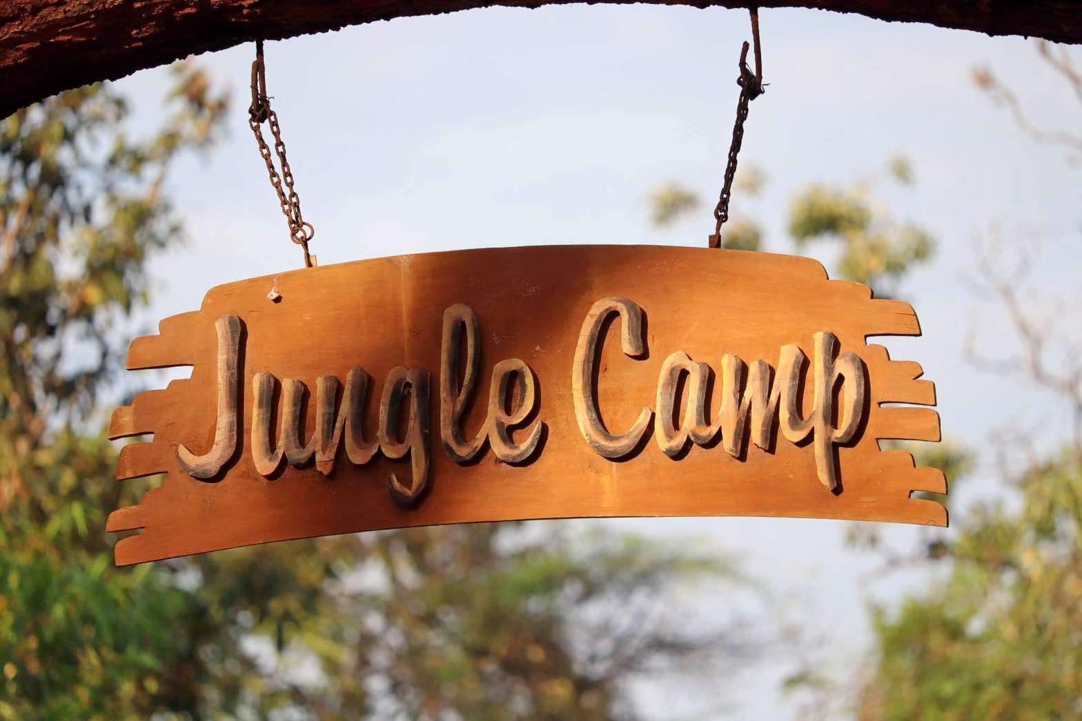Welcome to the Jungle Camp
