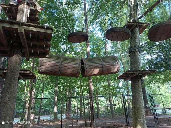 Arial Hurdles at the Adventure Park 