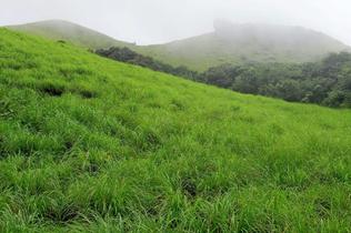 Ranipuram Hills