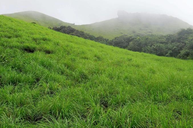 Ranipuram Hills