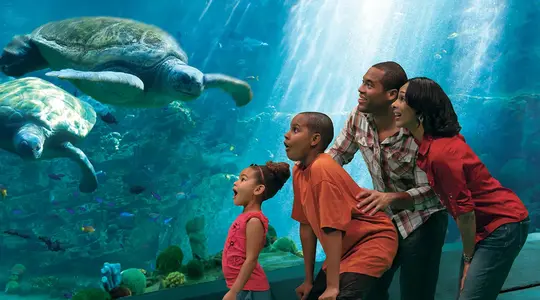 SeaWorld San Diego Tickets Image