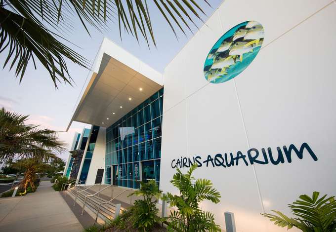 Explore Cairns Aquarium, famous for its vibrant marine life 