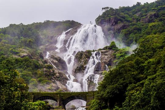 Goa Package For Family Image