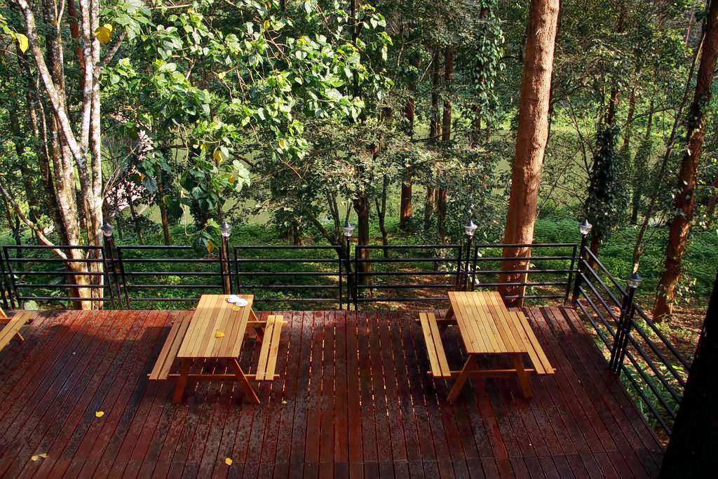 The Ibnii Coorg Image