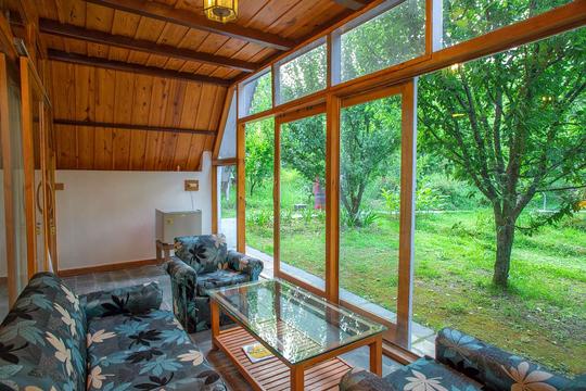 Workation Into The Woods Image