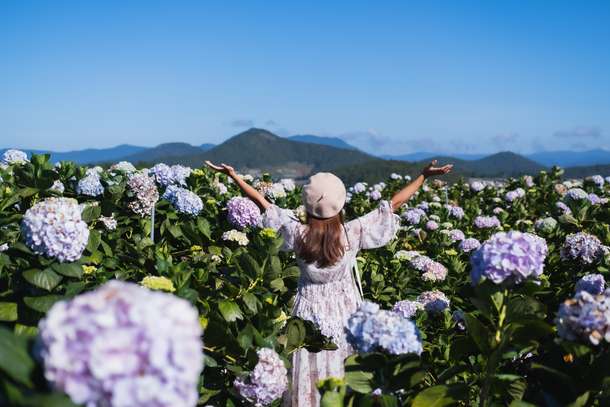 Dalat Sightseeing Tour