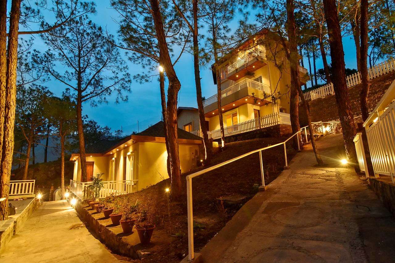 Jungle Lodge Resort, Kasauli will connect you with nature