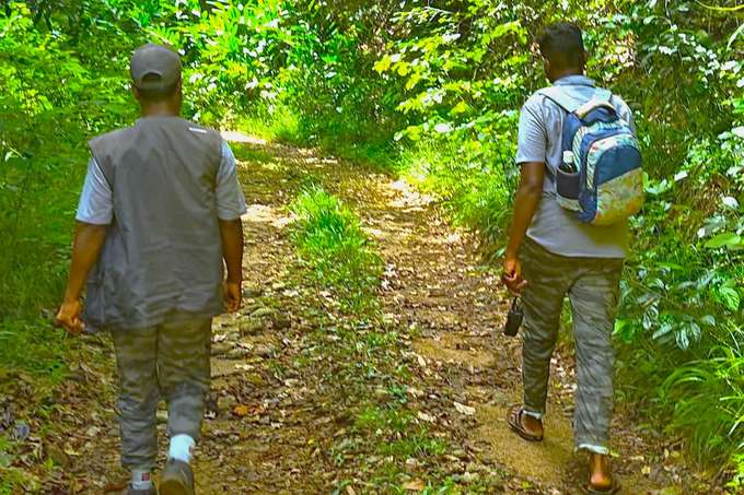 Explore 116 hectares of untouched Shola ecosystem on foot