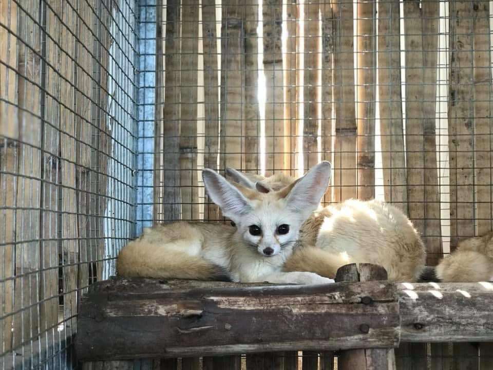 Monsters Aquarium Pattaya Tickets Image