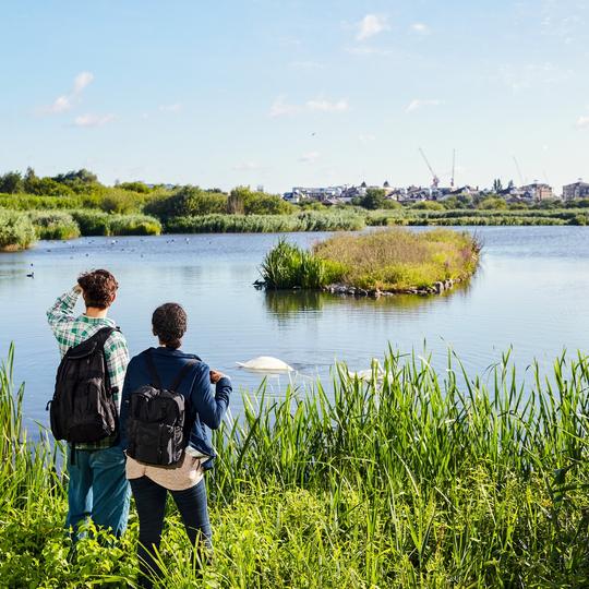 WWT London Wetland Centre Tickets Image