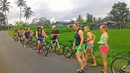 Cycling Tour In Bali Image