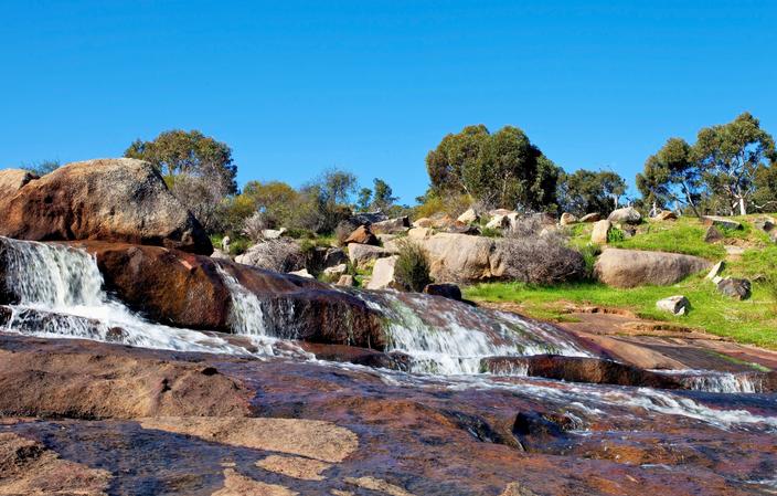 John Forrest National Park