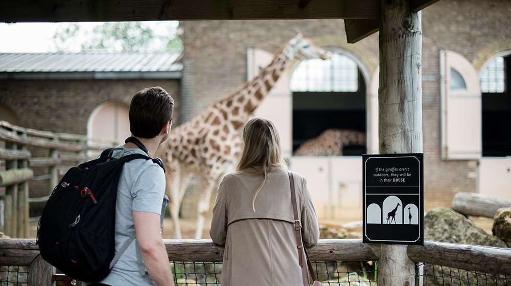 ZSL London Zoo Tickets Image