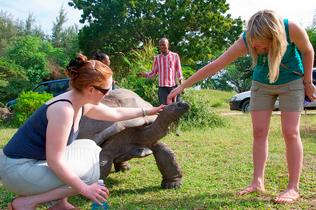 G65mrdc58y4ddl7lf3t6nj3p9tdq 1481609149 5011418845 998e0839be b