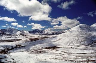 G7ebqinhibd5u4jltiredz5onxql 4659503820 61a86aed1e b