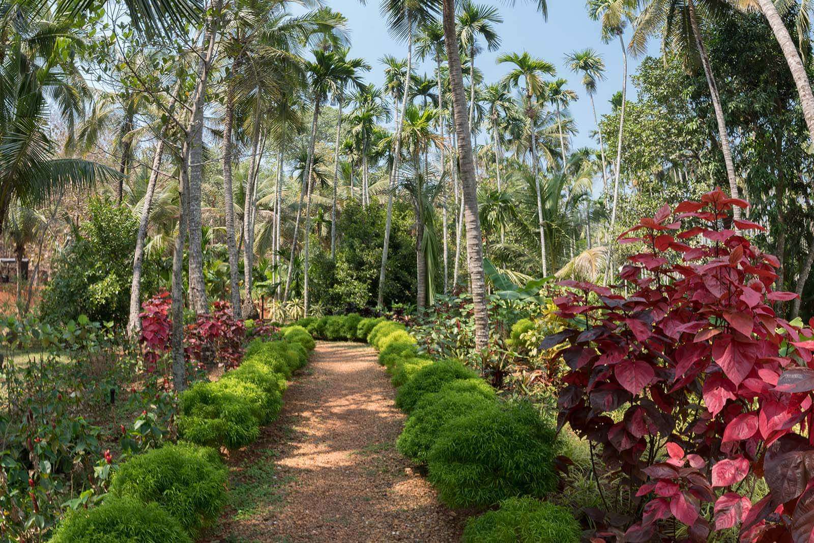 Kahani Paradise Image