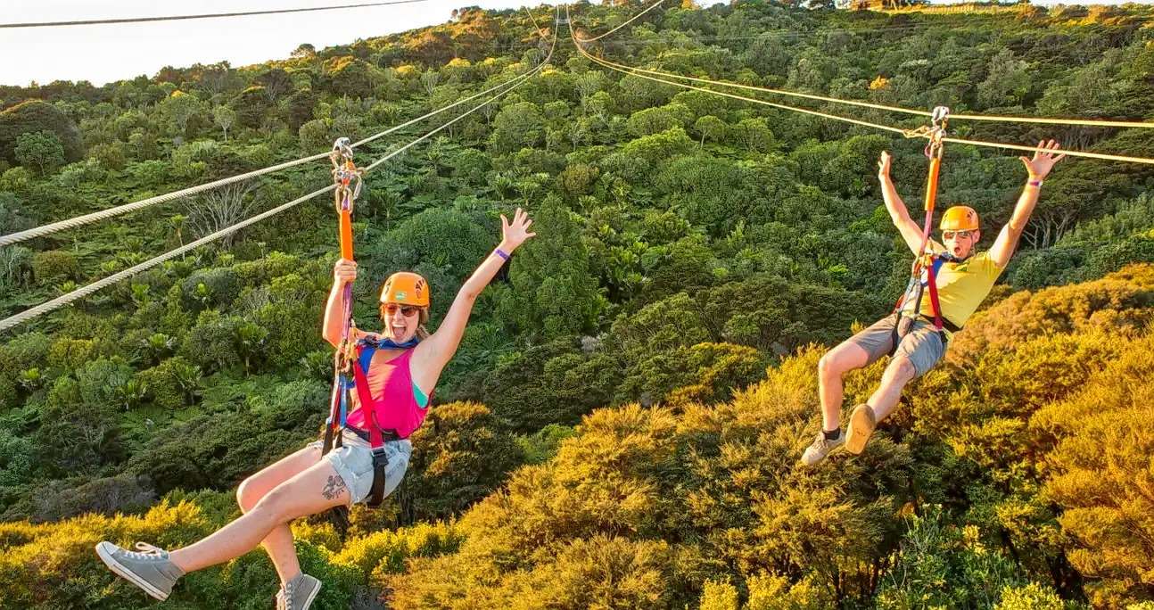 Waiheke Island Zipline with Native Forest Tour Auckland