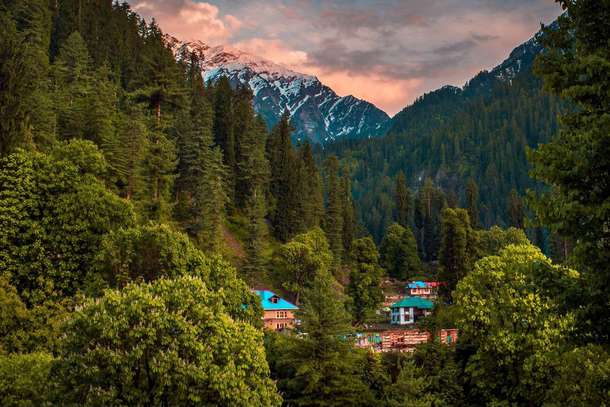 Trek through pine forests along the serene Grahan Nallah