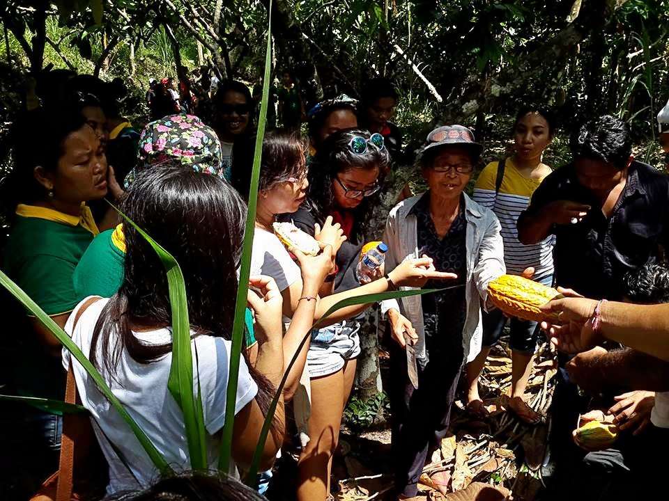 Rain Forest Trekking at Bedugul in Bali Image