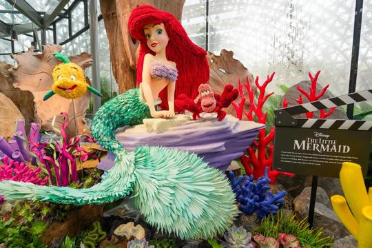 Gardens By The Bay Tickets Image