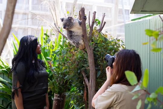 WILD LIFE Sydney Zoo Tickets Image