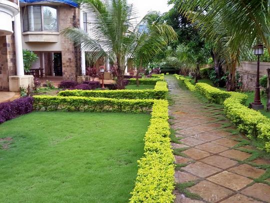 Silverador Resort  Image