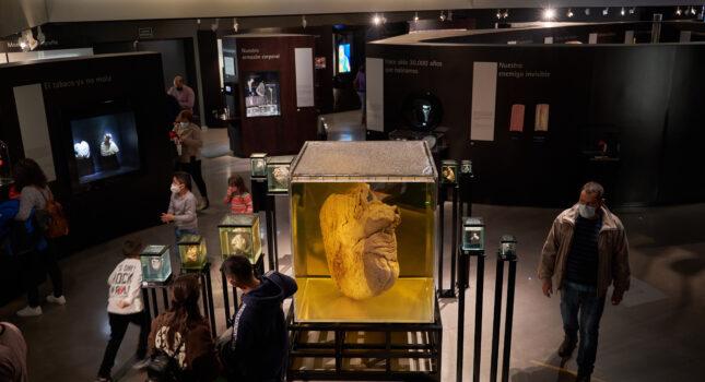 Parque de las Ciencias