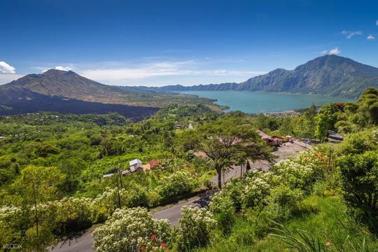 Full Day Kintamani Tour Image