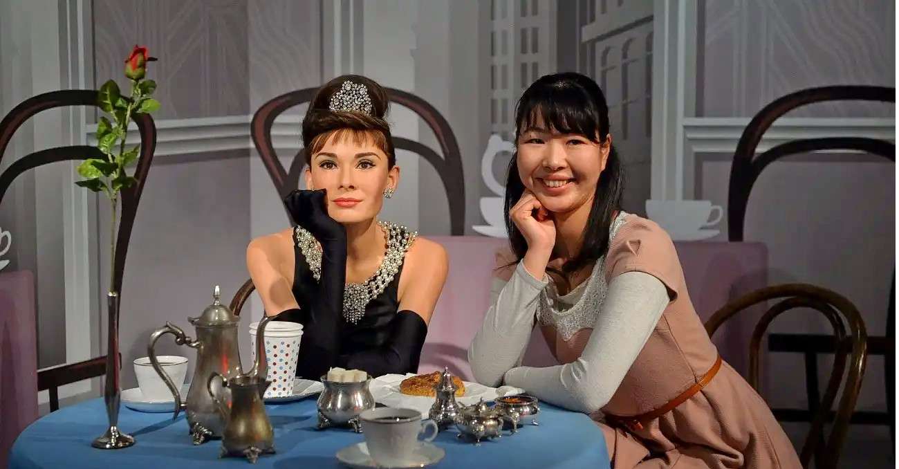 Madame Tussauds Tokyo, Tickets Image