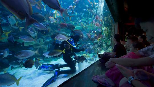 Aquaria KLCC Tickets Image