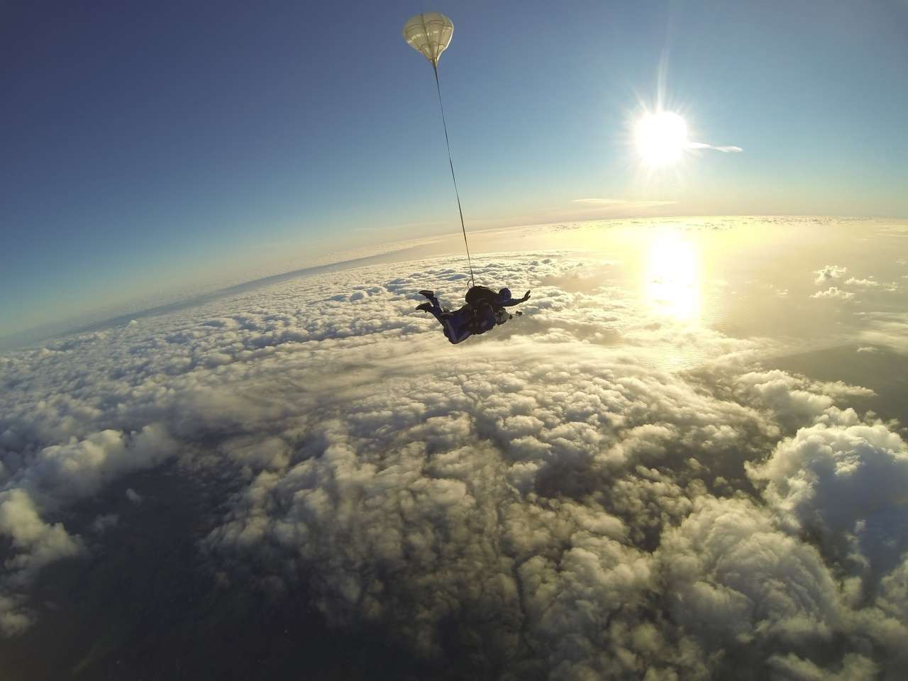 Skydive in Auckland Image