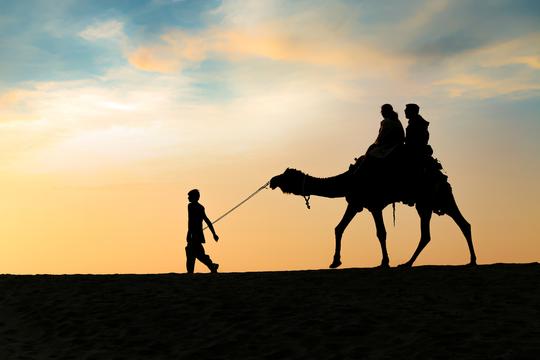 Udaipur and Jodhpur Sightseeing Tour Image