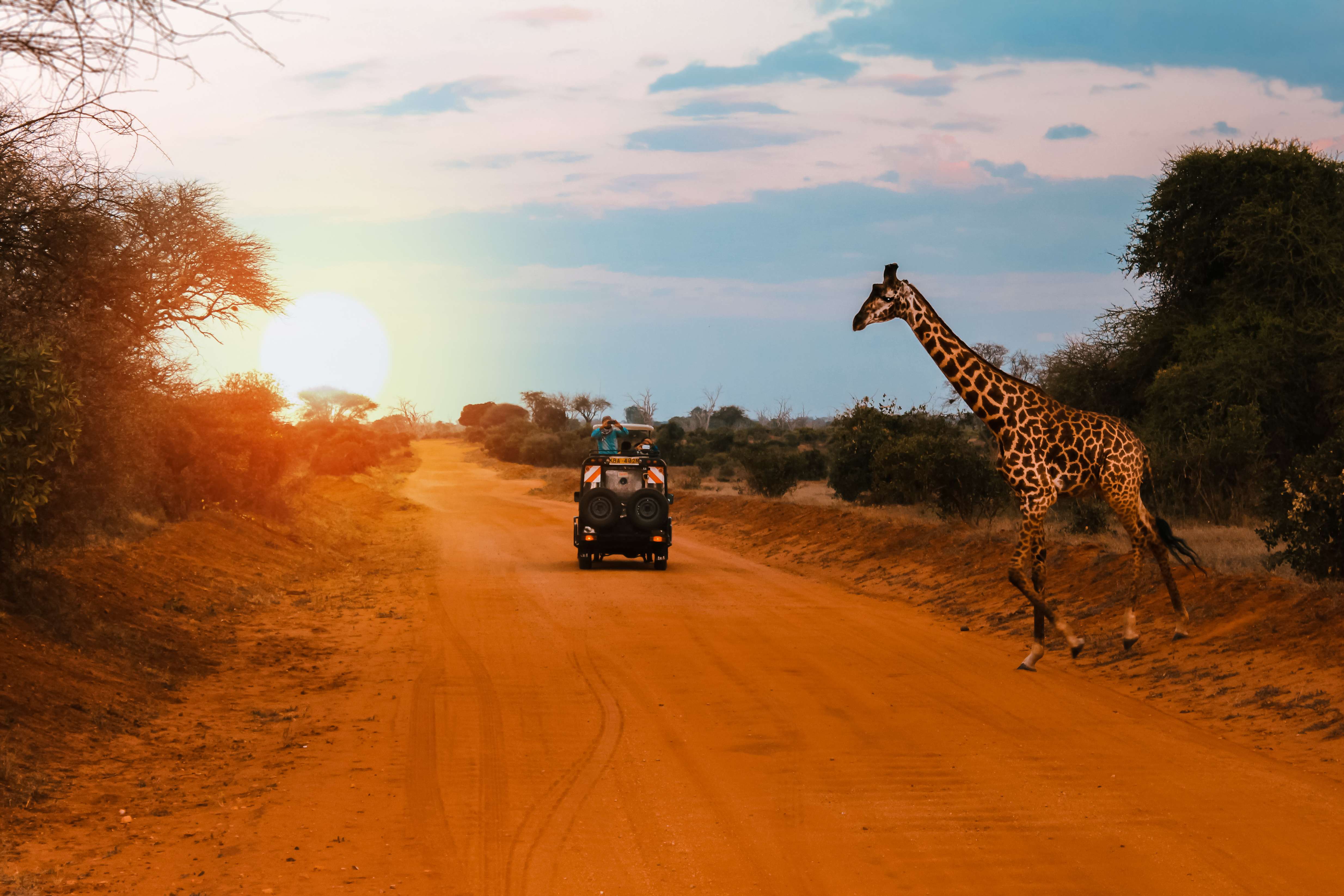 Game drive at Maasai Mara National Reserve