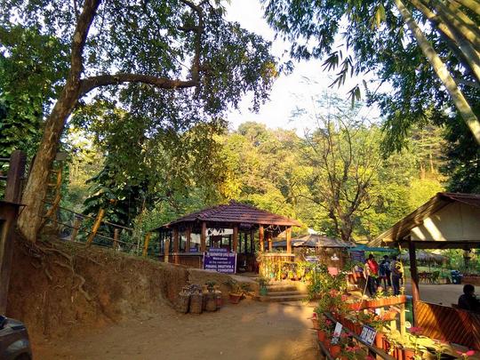 Brahmaputra Jungle Resort Image