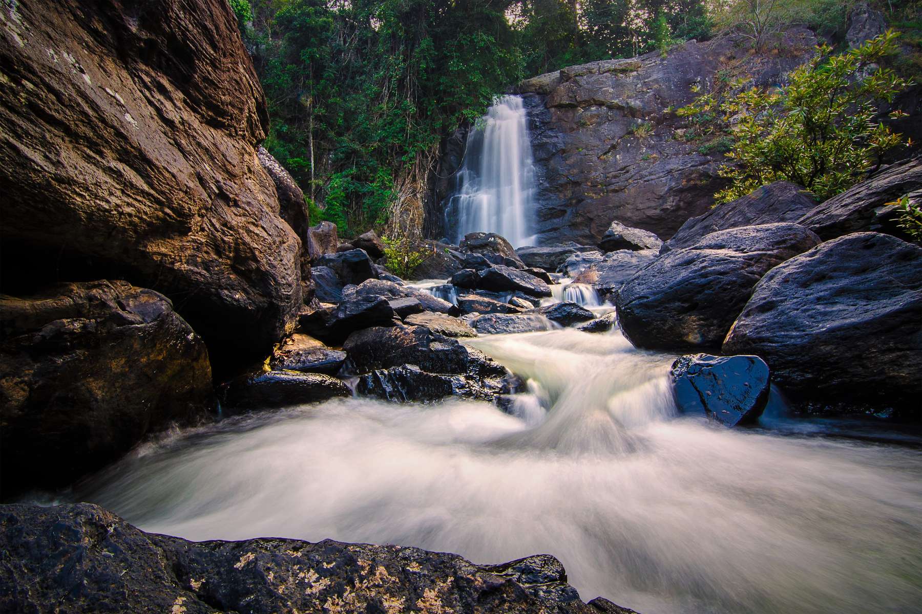 Off beat Wayanad Tour Package Image