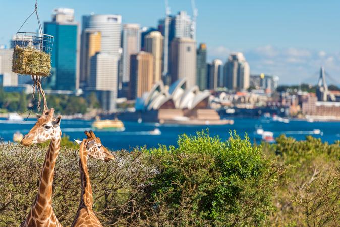 Taronga Zoo