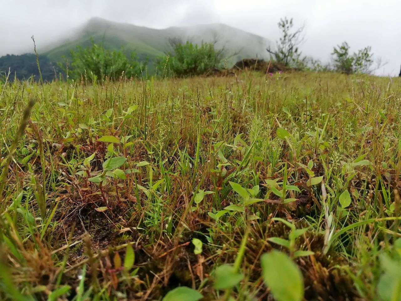 Misty Trek To Ballalarayana Durga Fort Image